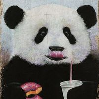 ANONIM PANDA